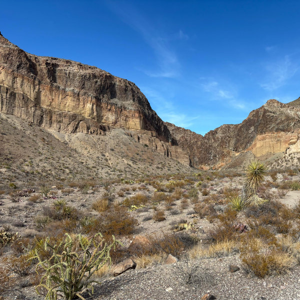 Our Big Bend Honeymoon Fund