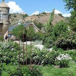 Idaho Botanical Garden | Jardín Botánico de Idaho