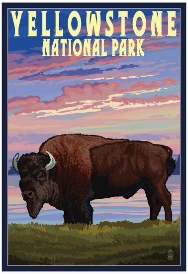 Yellowstone National Park - Bison and Sunset