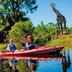 Brevard Zoo