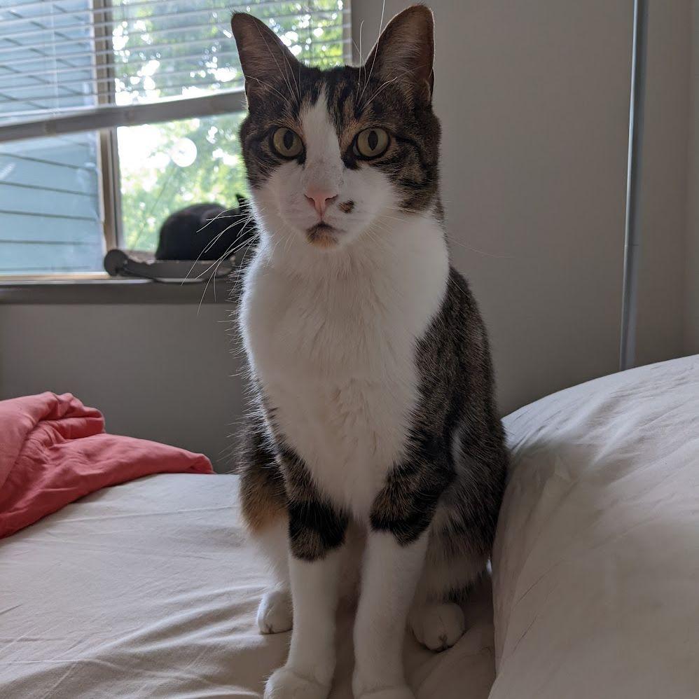 Prince observes