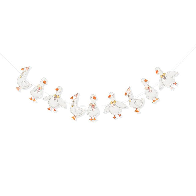 Silly Goose Birthday Garland, Goose Themed Party Decorations, Farm Animal Party Supplies, Boy Girl Birthday Banner, Vintage Goose Animal Themed Banner