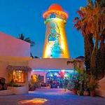 Experience Nightlife