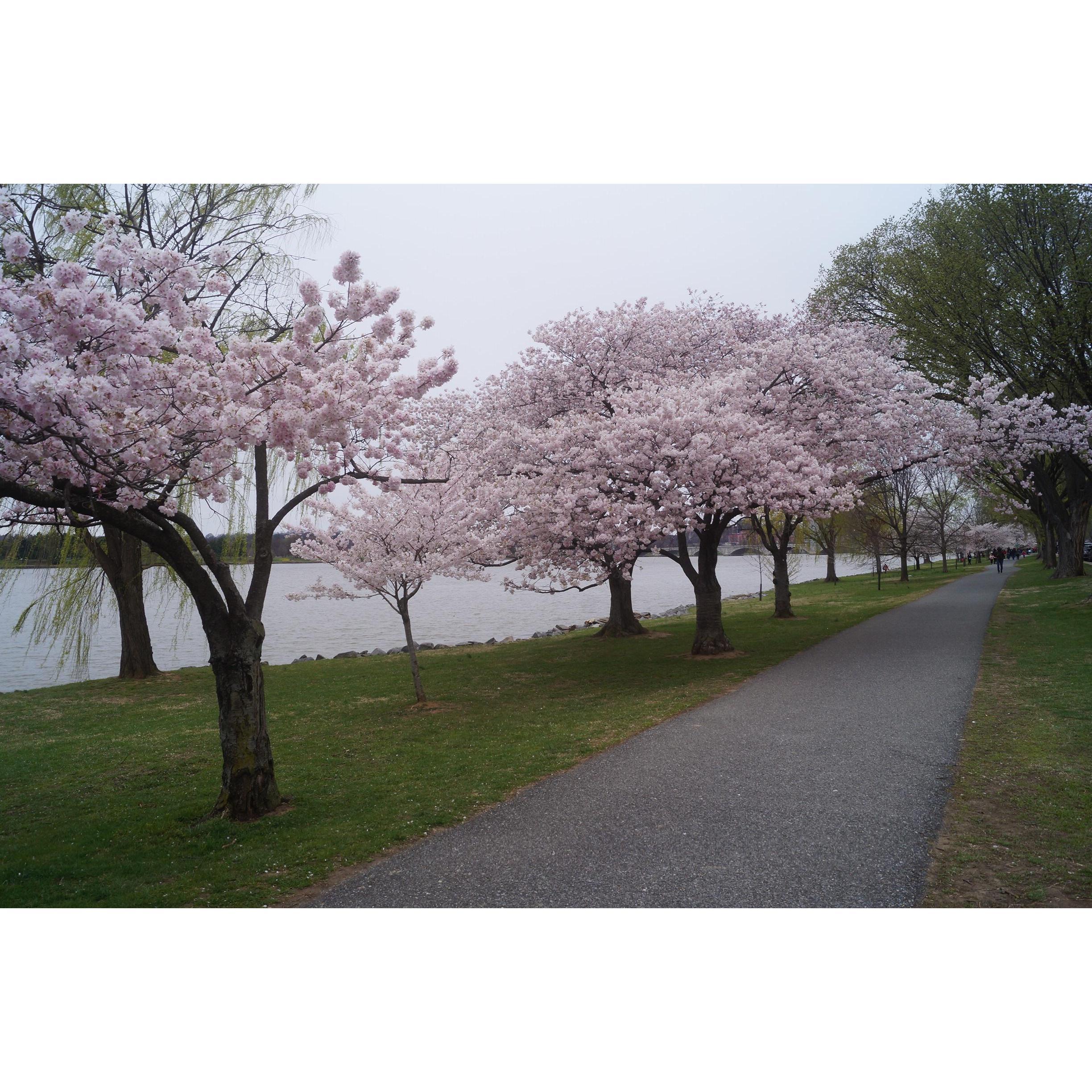 A day to remember
Amazed with this beautiful scenery, we ended this day with a joyful heart