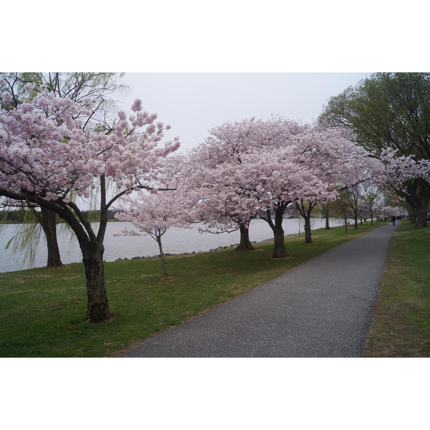 A day to remember
Amazed with this beautiful scenery, we ended this day with a joyful heart