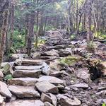 Hiking Spots - Emerald Outback Trail