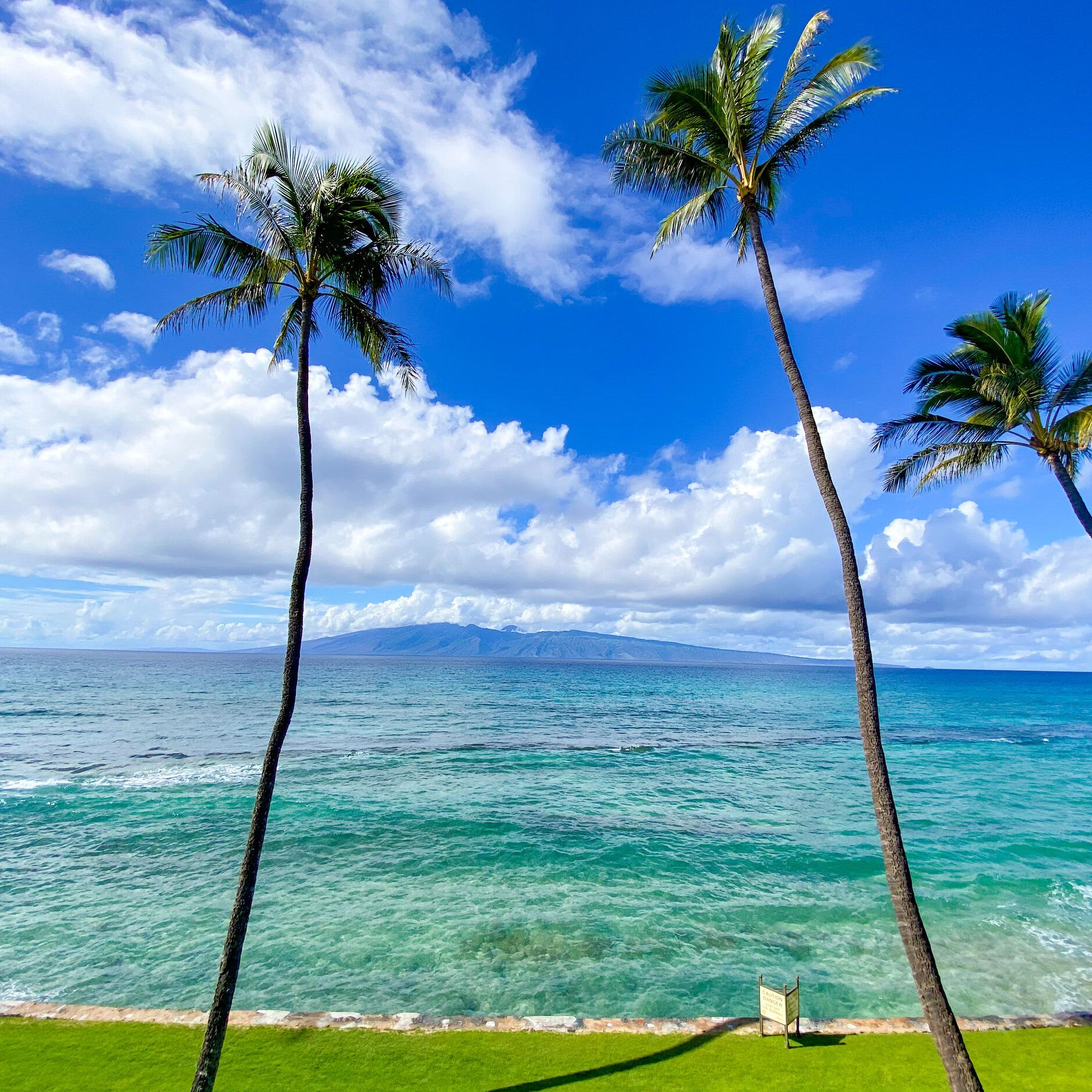 Our maui honeymoond fund 🌸