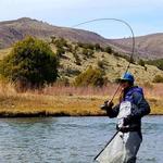 Vail Valley Anglers Fly Fishing