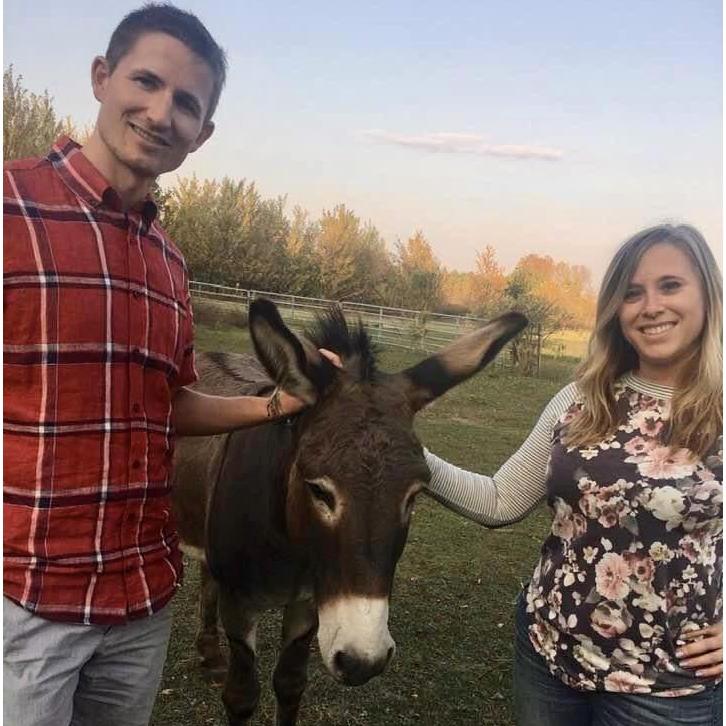 Elliot the donkey