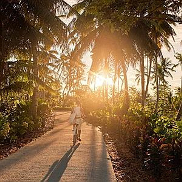 🌴 Island Escape – Seychelles (Platte Island)