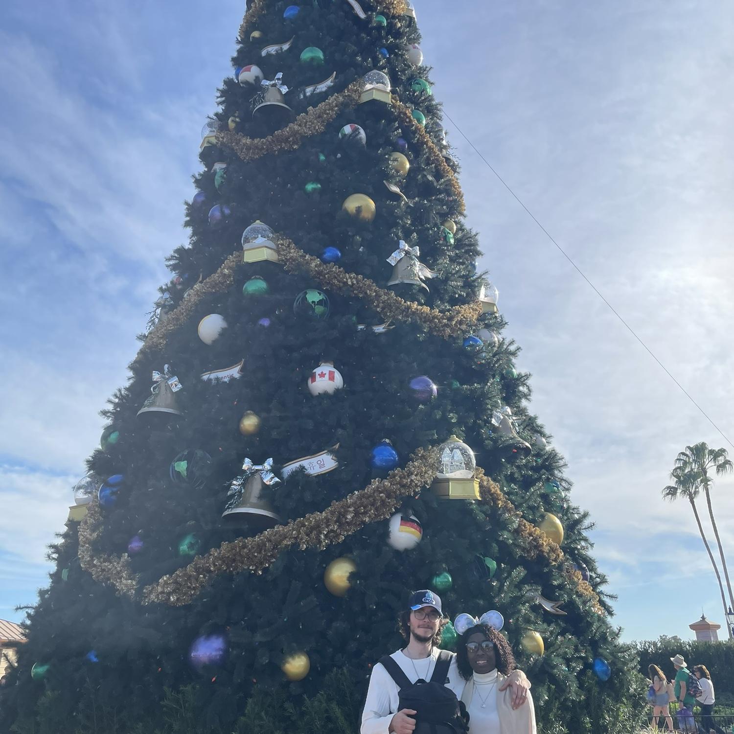 Christmas in Disney🥰