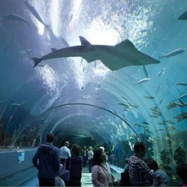 Date night aquarium!