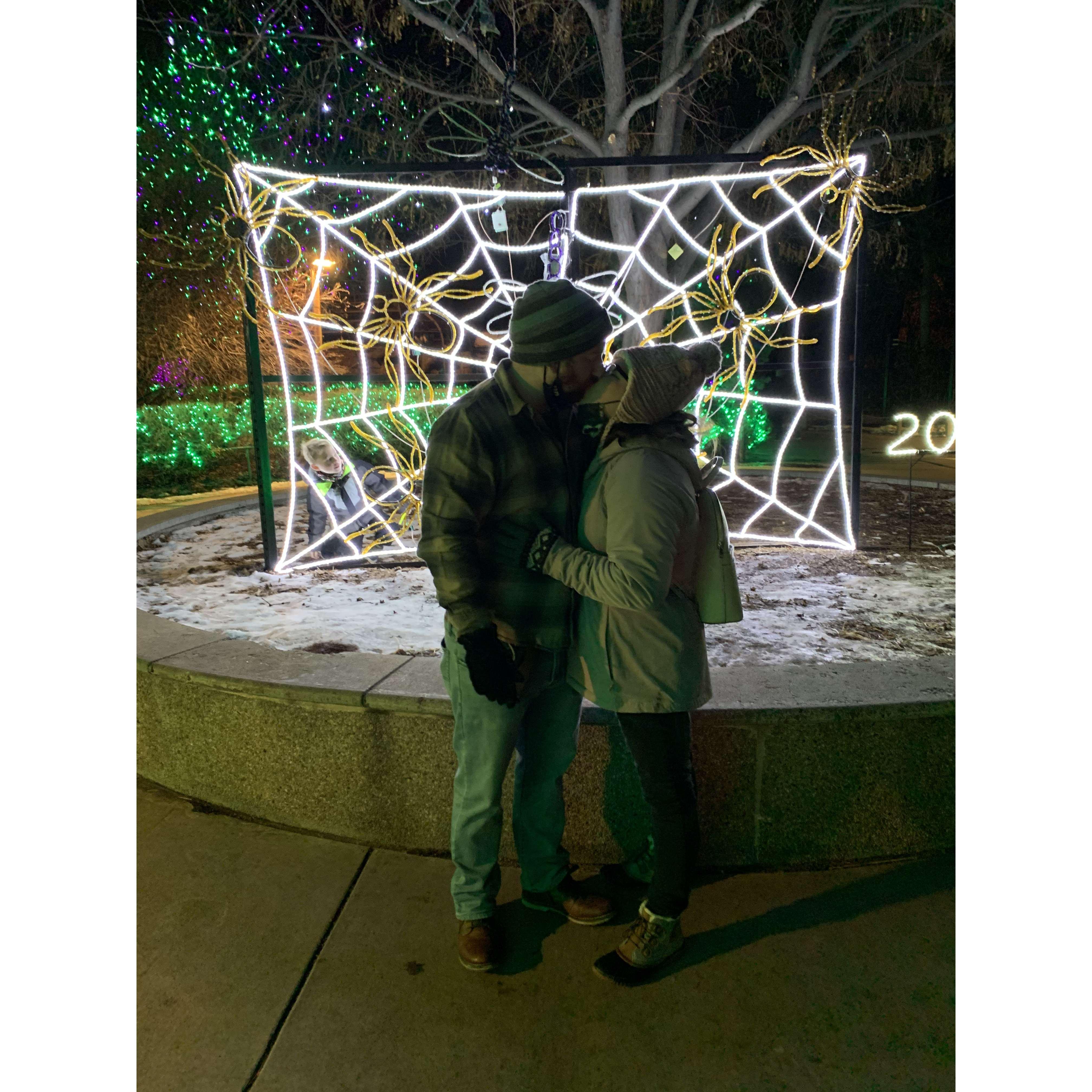 Zoo Lights (Dec. 2021)