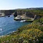 Wilder Ranch State Park