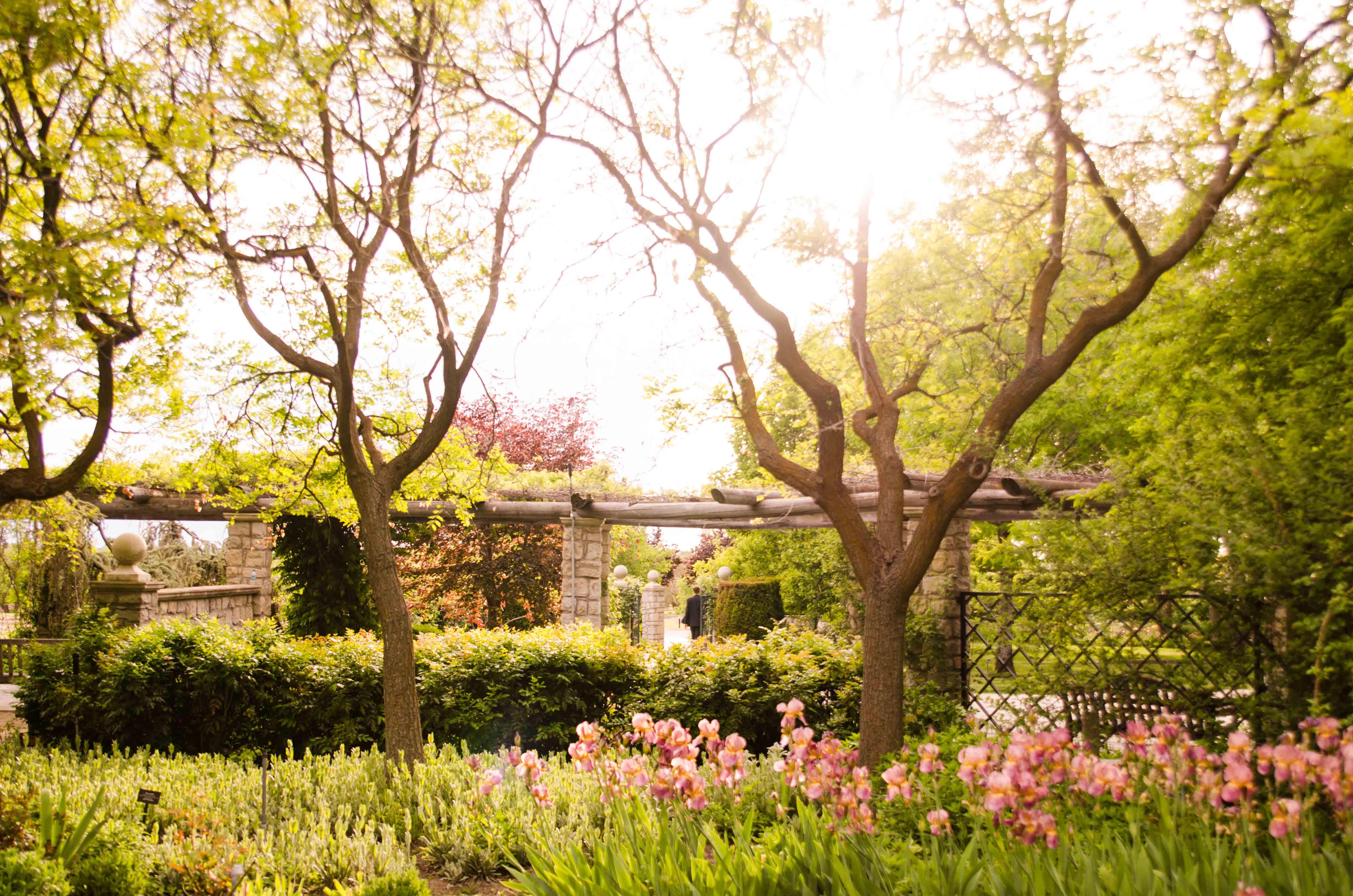 The Wedding Website of Jef Pinkham and Sarah Goicoechea