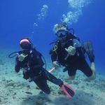 Waikiki Dive Center