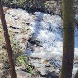 Wolf Creek Trail