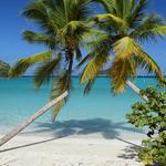 Maho Bay Beach