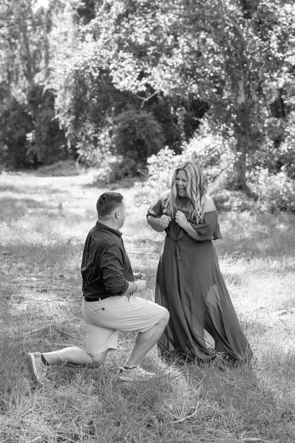 The Wedding Website of Alicia Rossi and William Knight