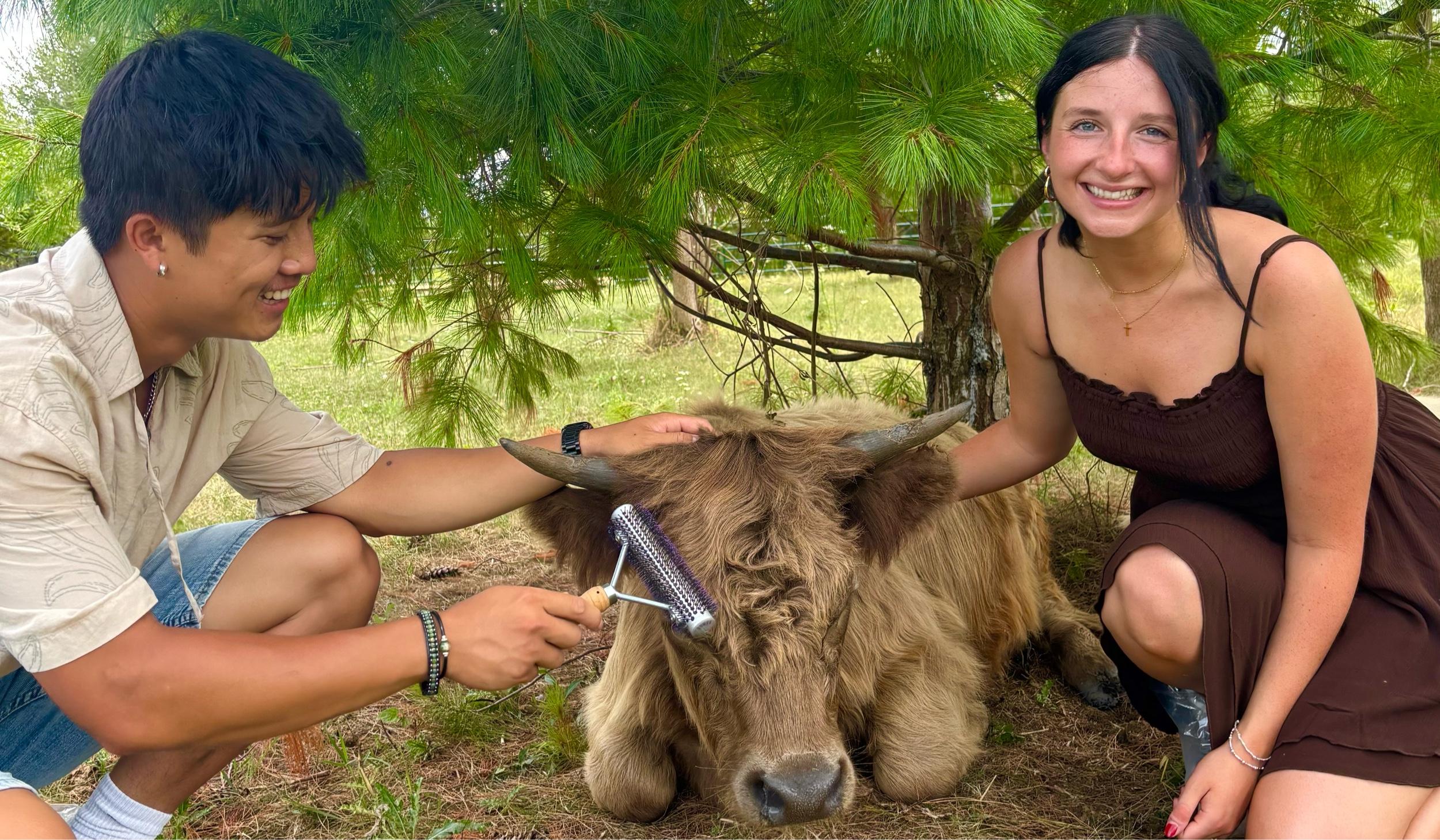 Hero Slideshow Image 5