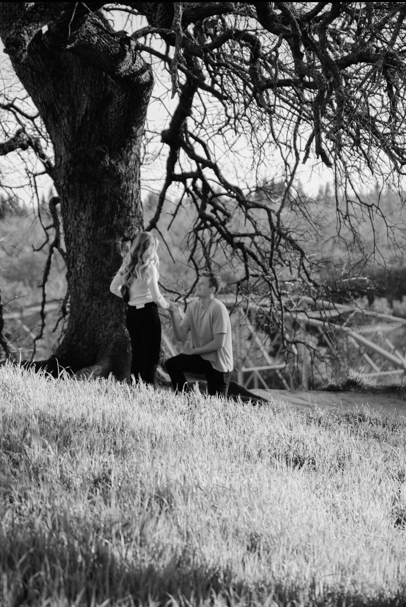 The Wedding Website of Joshua Spiva and Charlee Williams