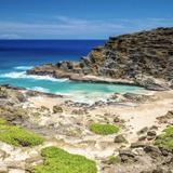 Cockroach Cove