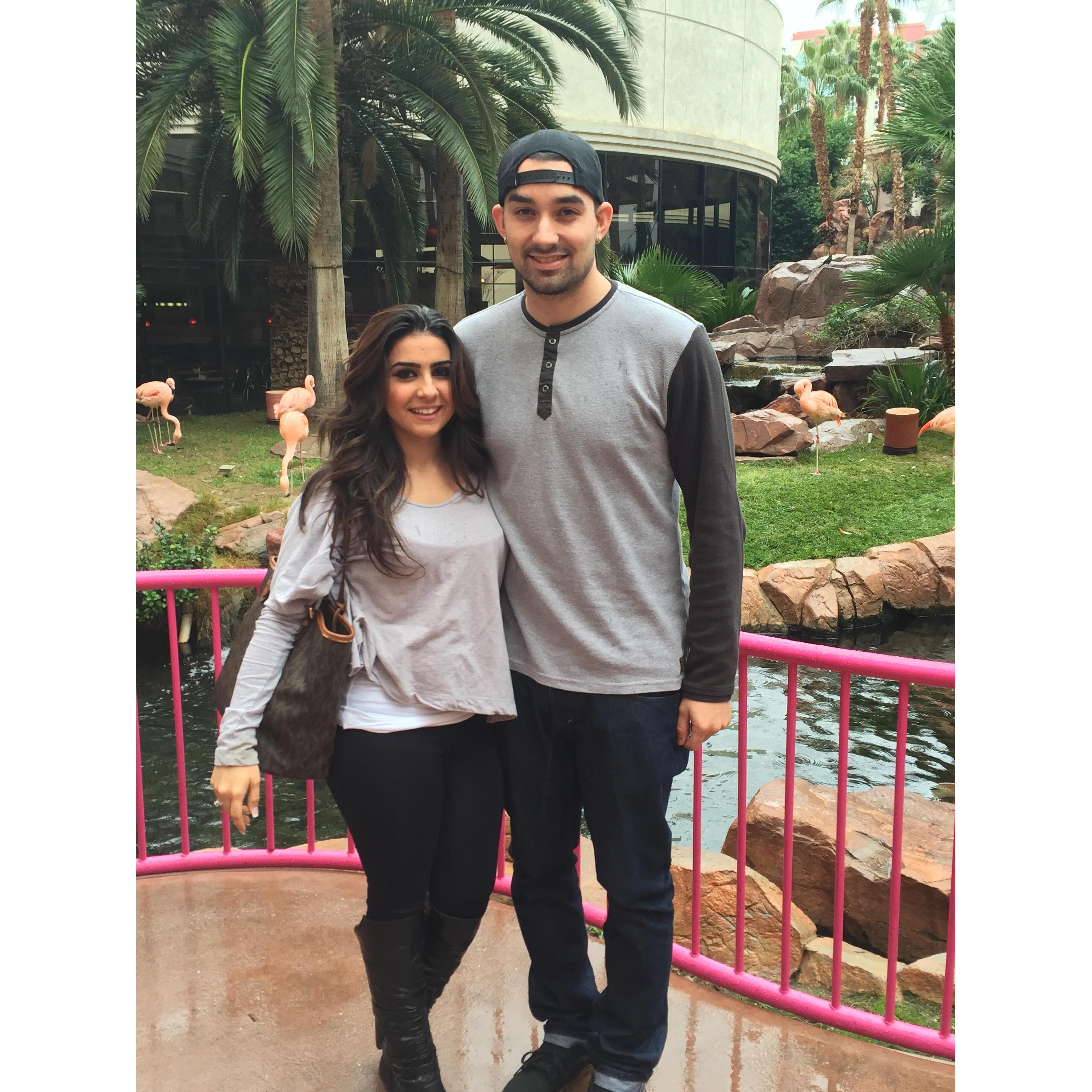 Visiting Las Vegas for CSUN Hockey Tournament (CSUN vs UNLV)- Las Vegas, NV.