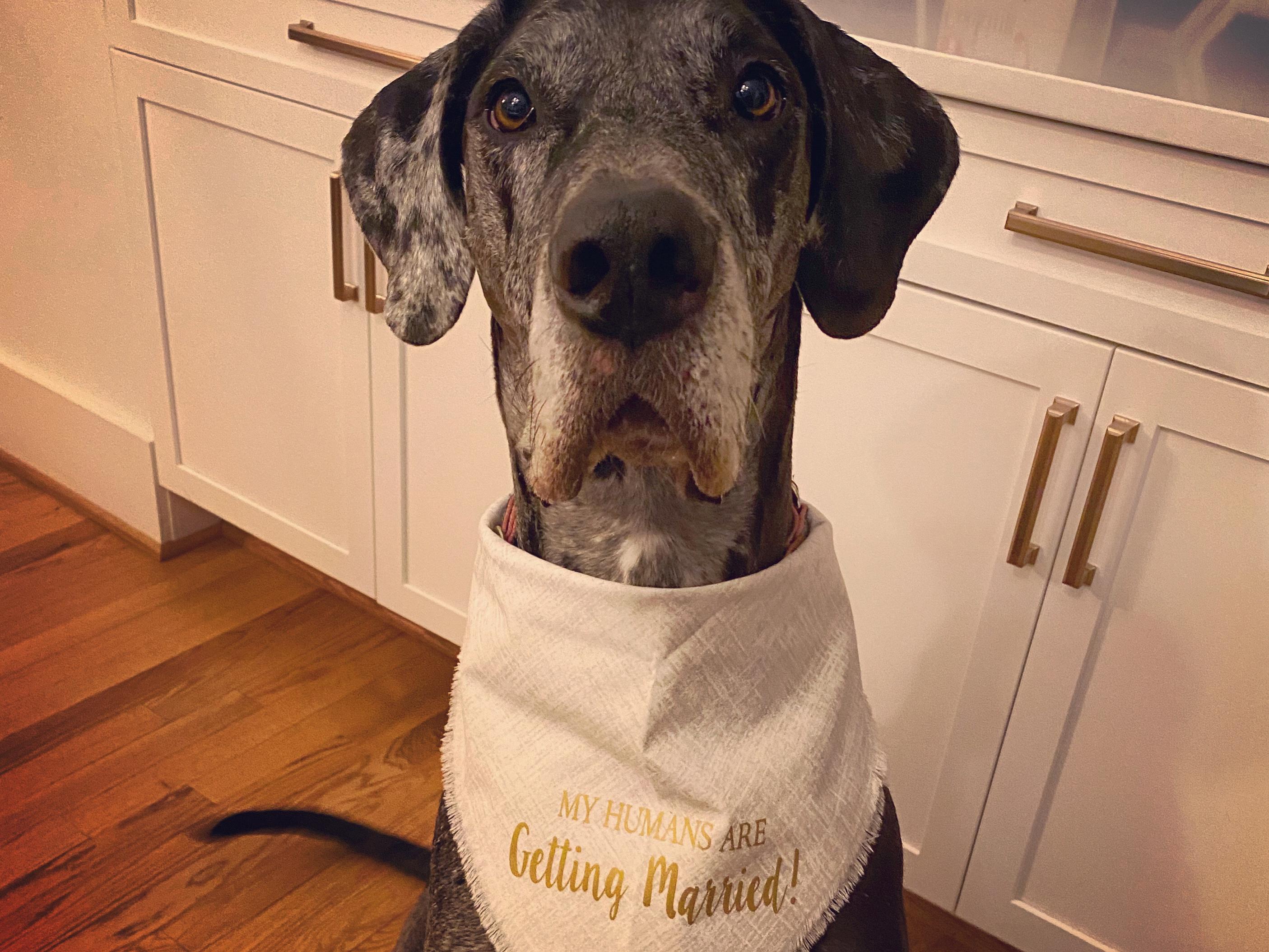 ec9fb84c-48dc-4465-94e3-4c5d789c9ebc