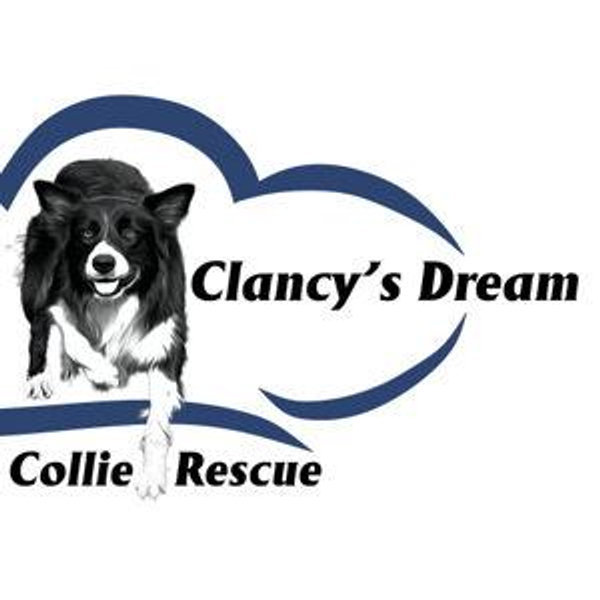 Clancy's Dream Border Collie Rescue