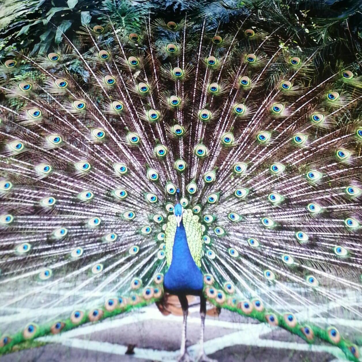 Nature's Beauty - How Inspiring!