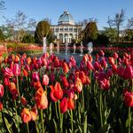 Lewis Ginter Botanical Garden