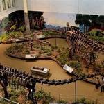 Carnegie Museum of Natural History
