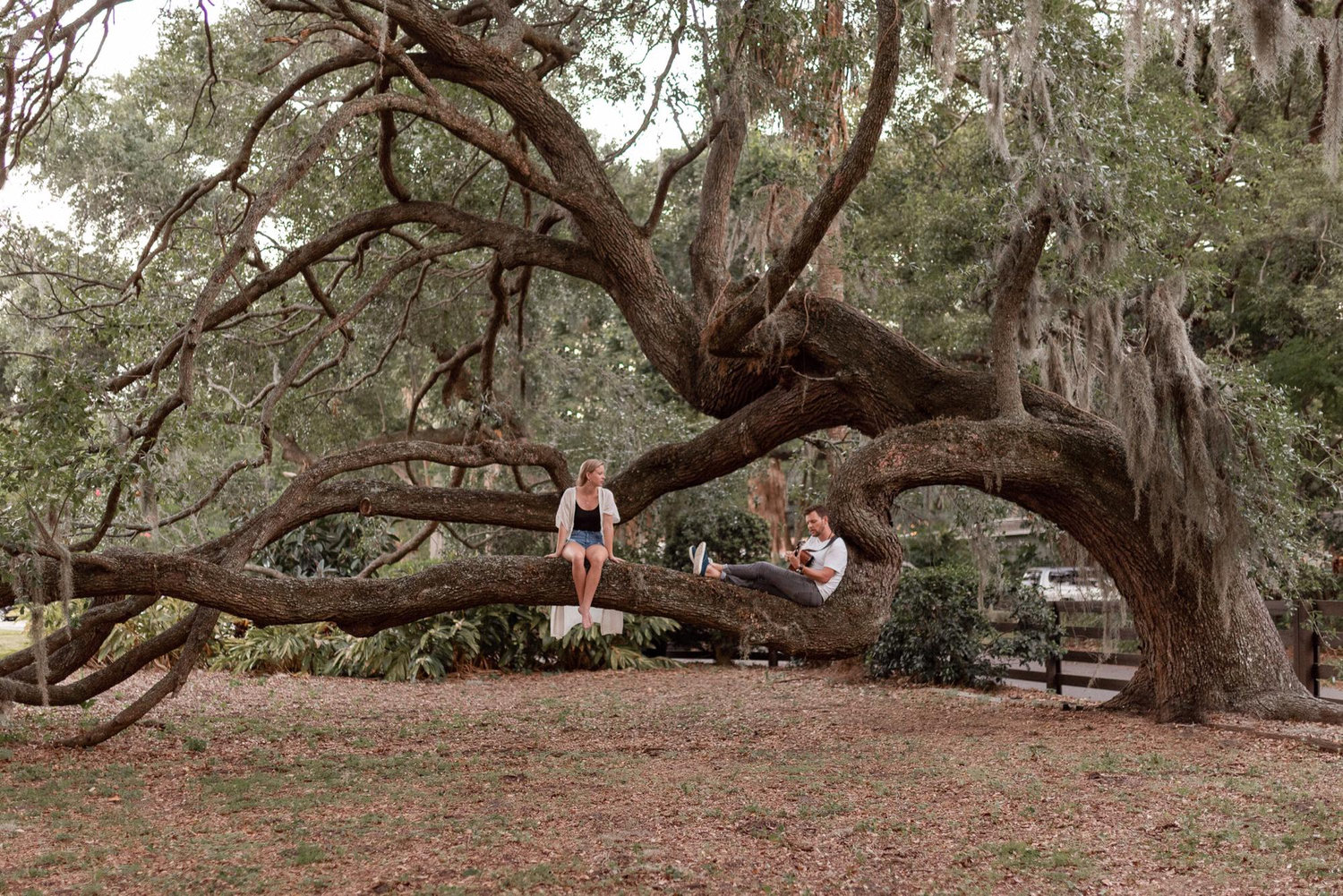 Orlando, Florida. May 2020