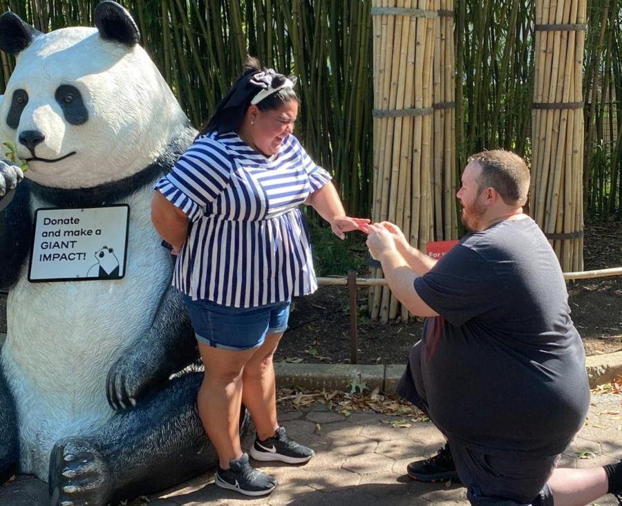 The Wedding Website of Ana Romero and Donovan Day