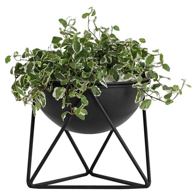 Roomnhome Mono Plant Pot Stander with Iron Frame and Plastic Pot Holder(D-Type/5"/Black)