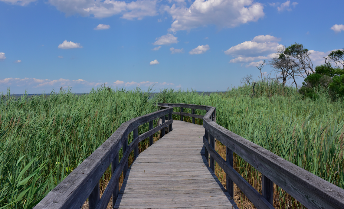 eca8240d-a929-4158-b43c-627b3a4e9d7c