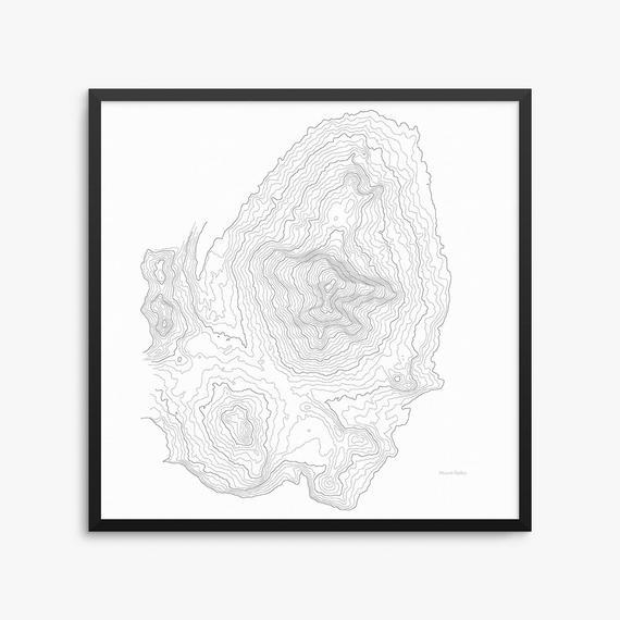 Mt. Bailey Topography Art