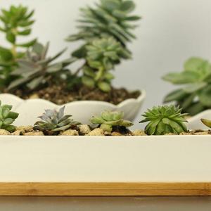 Wish you have a nice day - 11.1 inch long rectangle White Ceramic Succulent Planter Pots / Mini Flower Plant Containers with Bamboo Saucers. Product size:11.1x2.36x1.77inch. (long rectangle)