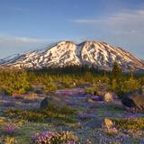 Mount St. Helens