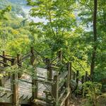 Mount Baldhead Park