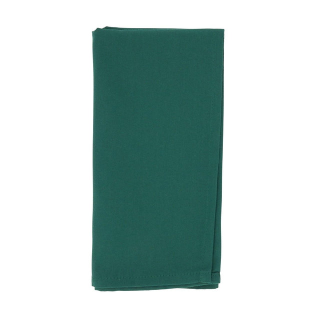 Saro Lifestyle Everyday Cloth Table Napkins , Jasper Green, 20" x 20"
