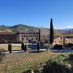 Cava Tour & Tasting at Cava Pagès Entrena