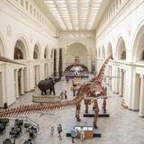Field Museum