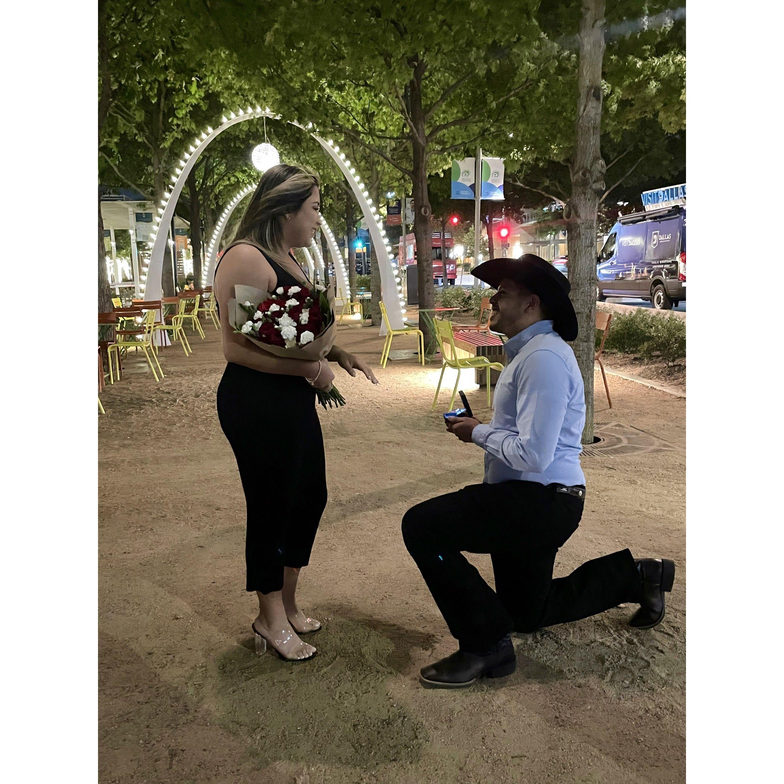 Proposal at Klyde Warren Park