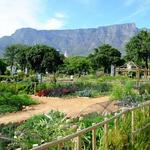 Dutch East India Company Garden