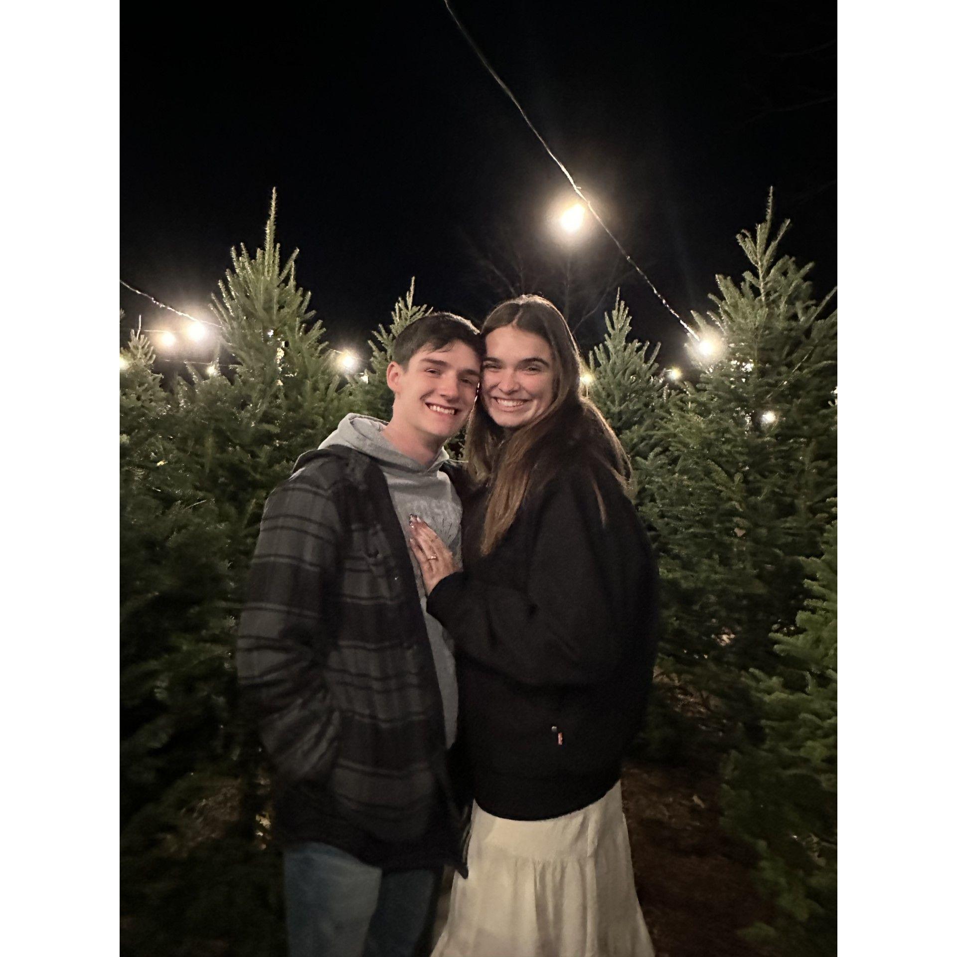 Christmas tree farm