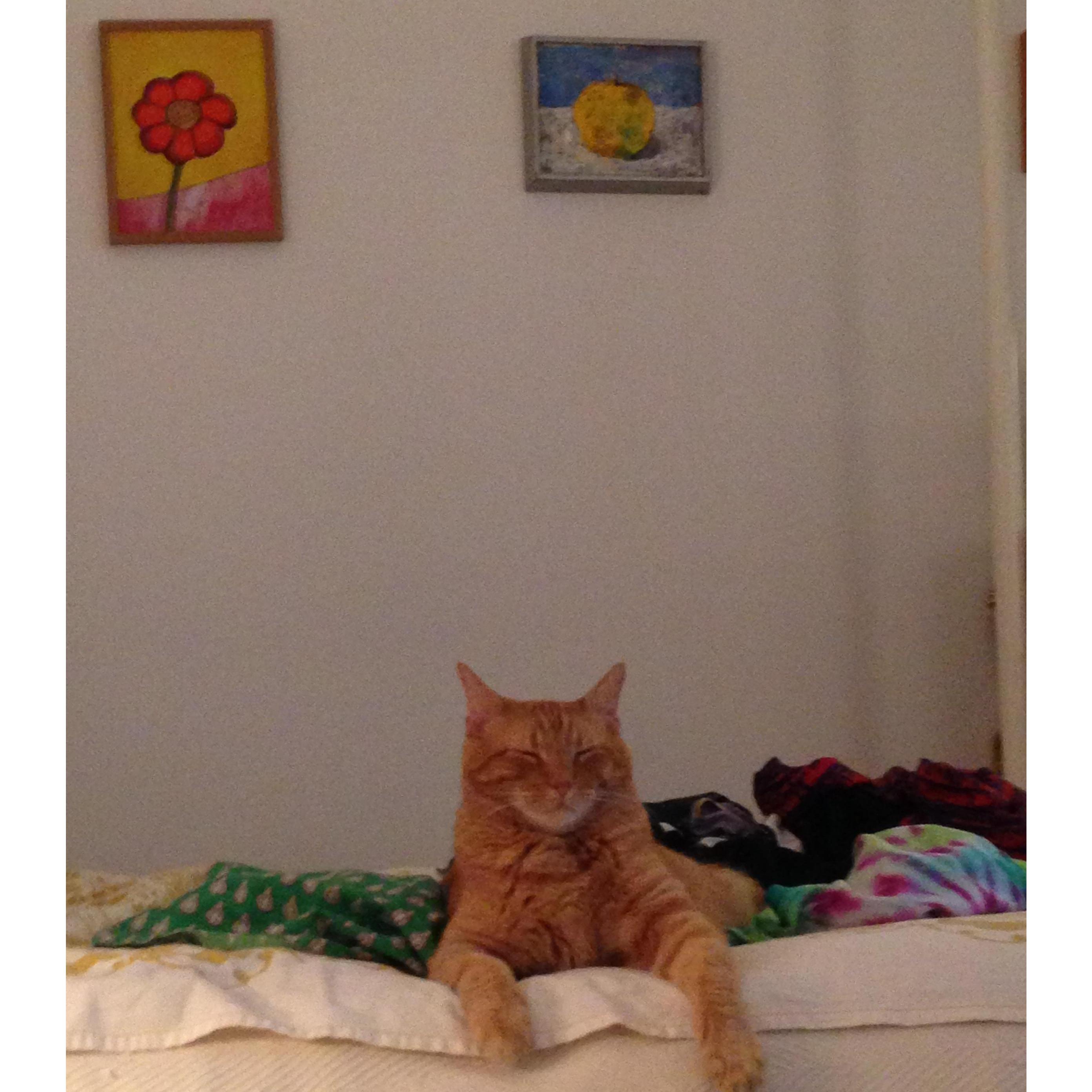 Kiki, Forest Hills, NY
