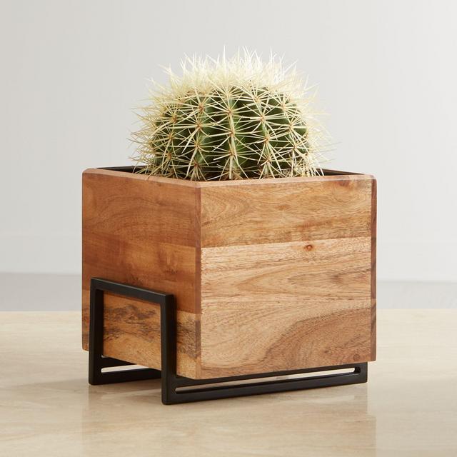 Arcaydia Medium Tabletop Wood and Metal Planter