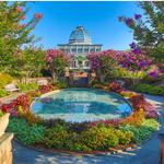 Visit A Historic Garden