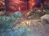 Gray Fossil Site